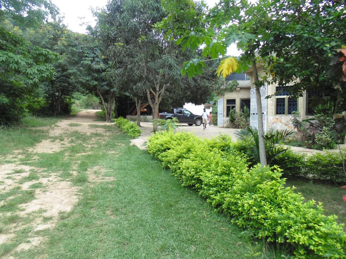 Wli Water Heights Hotel Wli Afegame Buitenkant foto